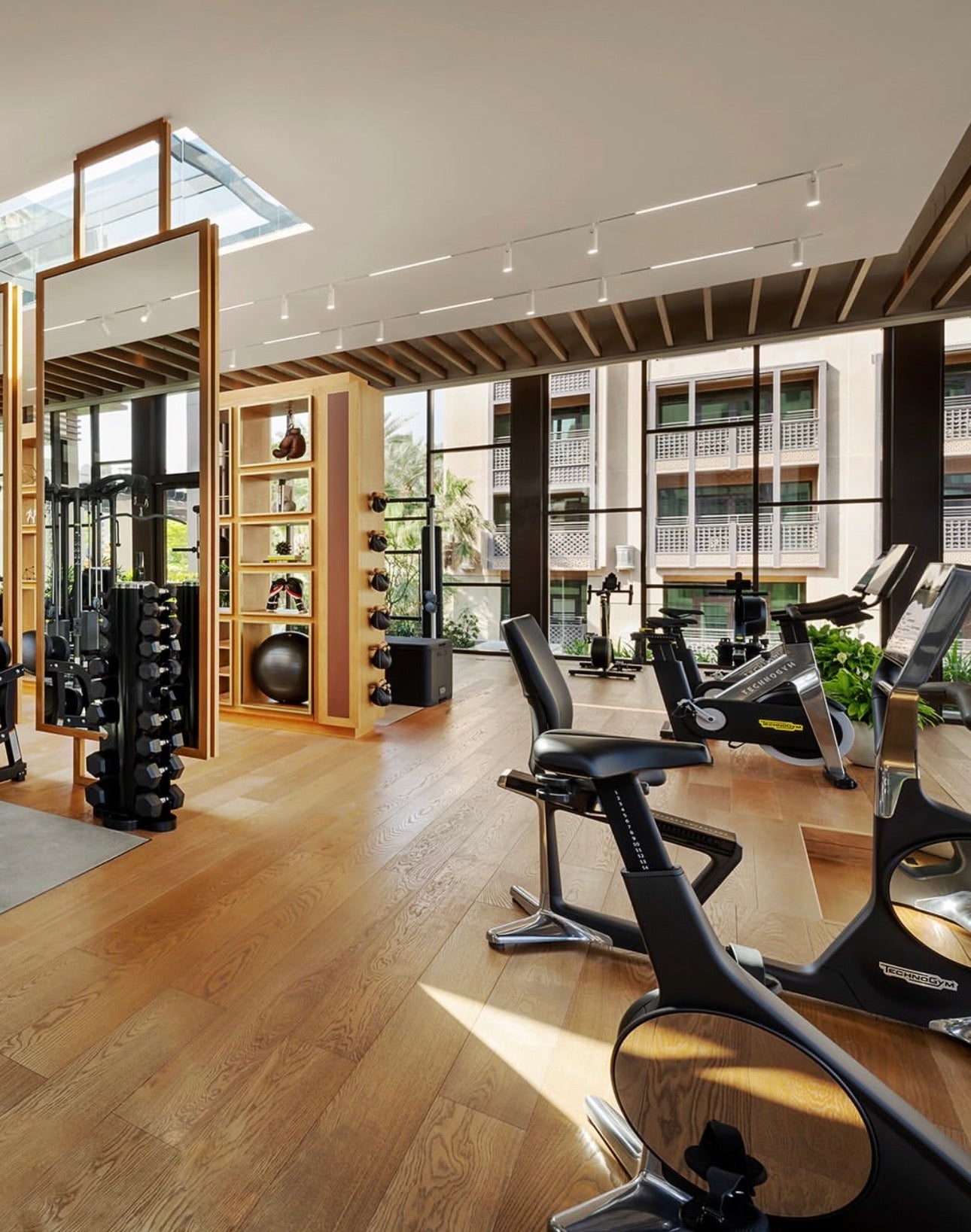 Modern gym interior with exercise bikes and weights.